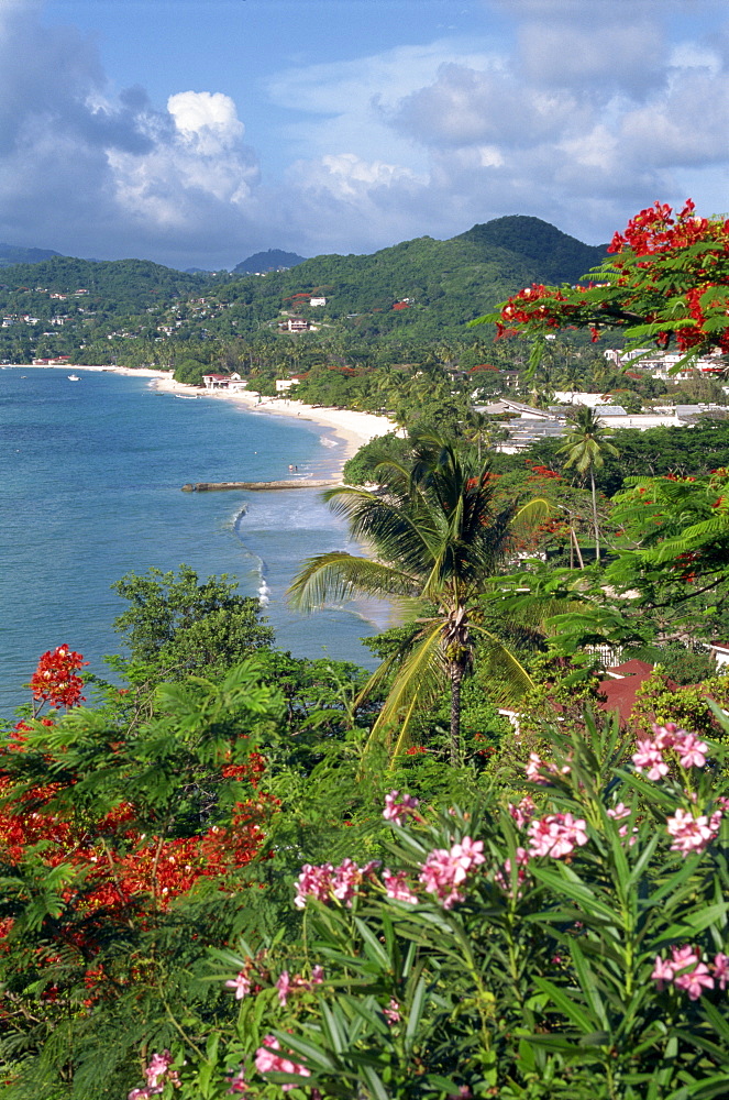 Grand Anse Beach, Grenada, Windward Islands, West Indies, Caribbean, Central America