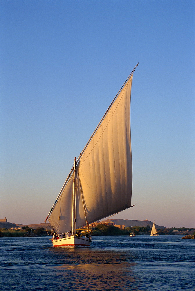 Felucca on the Nile at Aswan, Egypt, North Africa, Africa