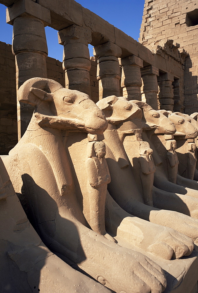 Temple of Karnak, Thebes, UNESCO World Heritage Site, Egypt, North Africa, Africa