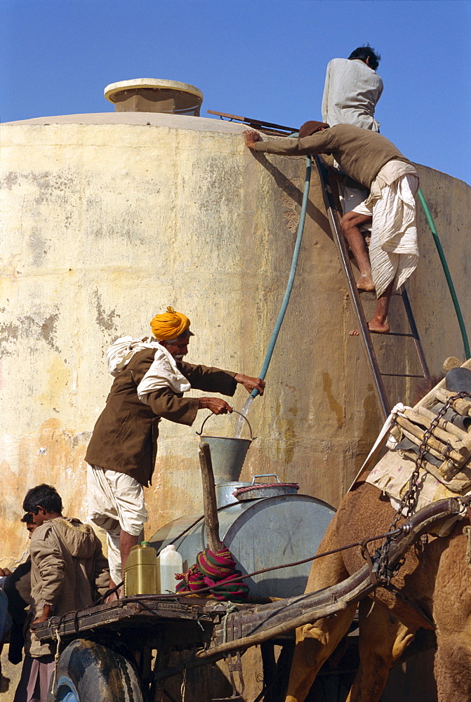 Collecting water at cattle fair near Dechhu, north of Jodhpur, Rajasthan state, India, Asia