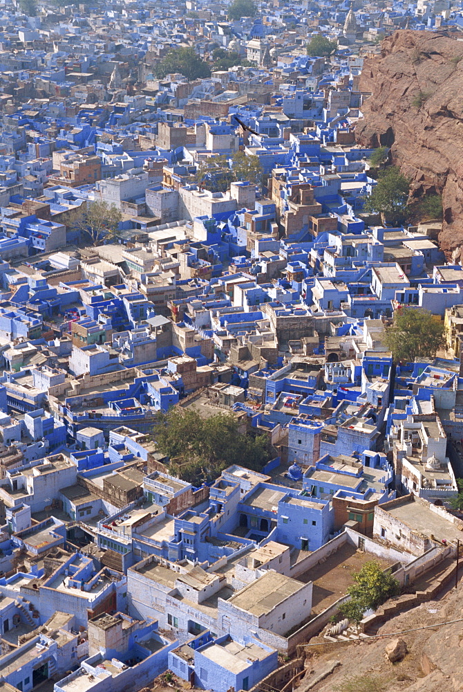 View from fort of blue houses of Brahmin caste residents of city, Jodhpur, Rajasthan state, India, Asia