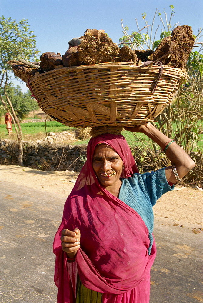 Woman carrying dung pats used for fuel, on her head, near Shikar, Rajasthan state, India, Asia