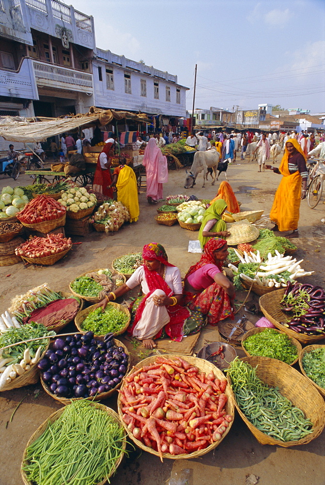 Fruit and vegetable sellers in the street, Dhariyawad, Rajasthan State, India