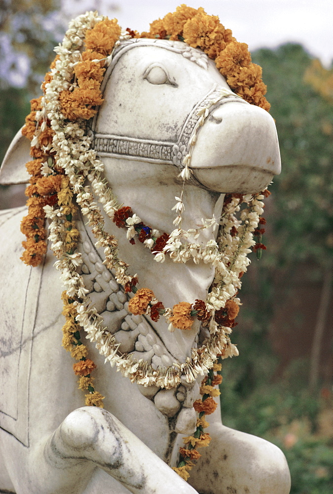 Sacred bull statue and garlands, Varanasi (Benares), Uttar Pradesh State, India, Asia