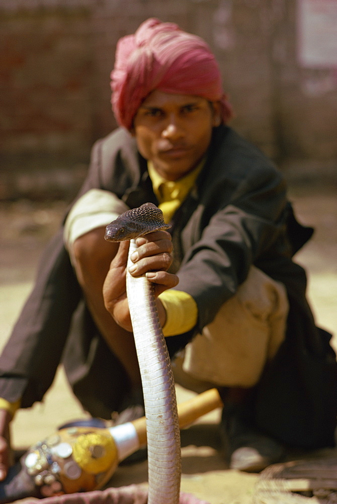 Snake charmer, Delhi, India, Asia