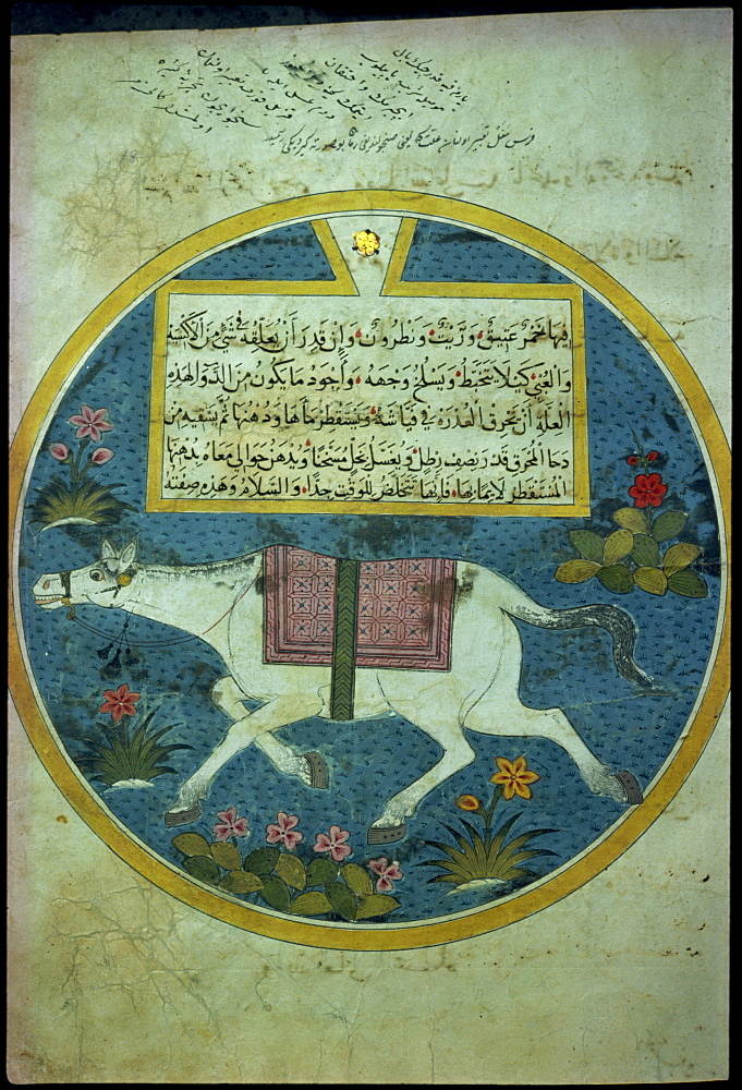 Kitab Az Zadaqah Ma'Rifat, University Library, Istanbul, Turkey, Europe