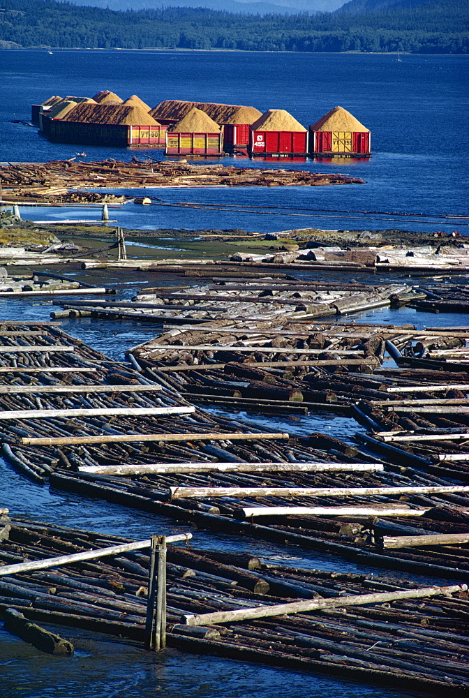 Logs booms on the Campbell River, British Columbia, Canada, North America