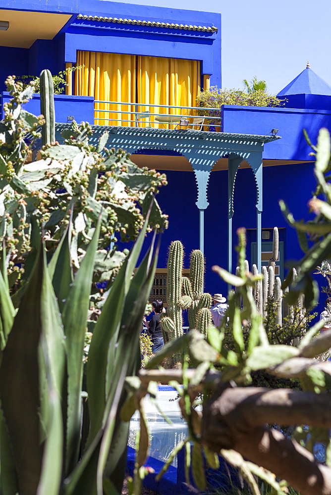 The Majorelle Gardens, Marrakech, Morocco, North Africa, Africa 