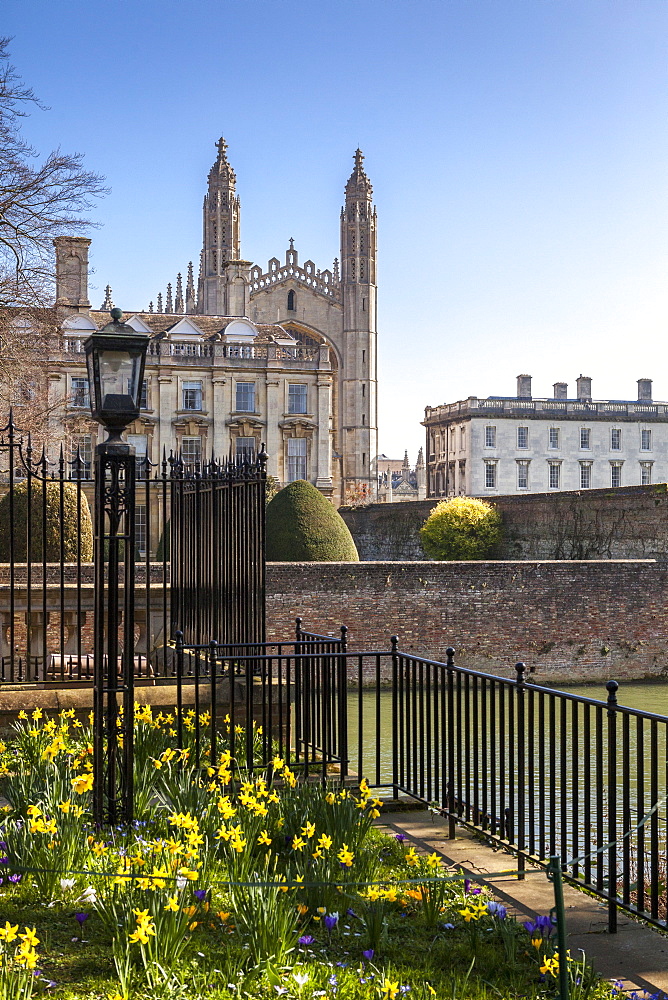 A view of Kings College from the Backs, Cambridge, Cambridgeshire, England, United Kingdom, Europe