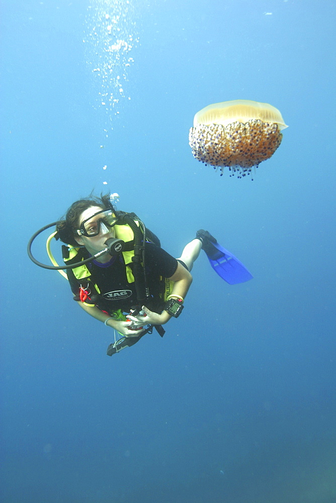 Diver and Jellyfish. Spanish Mediterranean.   (RR)