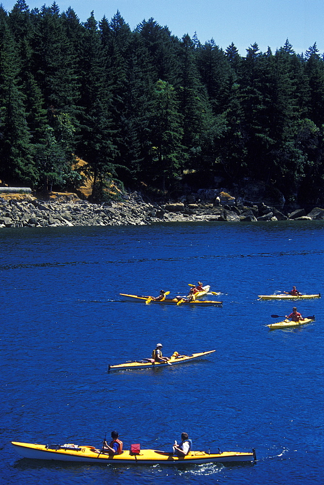 People Canoeing. Nanaimo, Vancouver Island, Canada