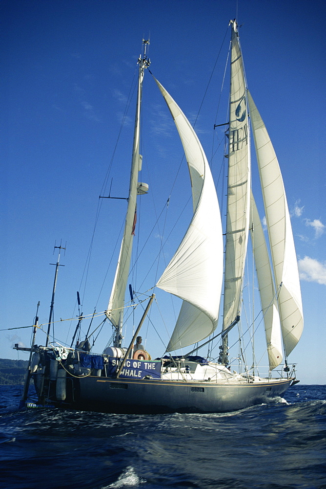 Research yacht, Song of the Whale, working offshore. Middle of North Atlantic