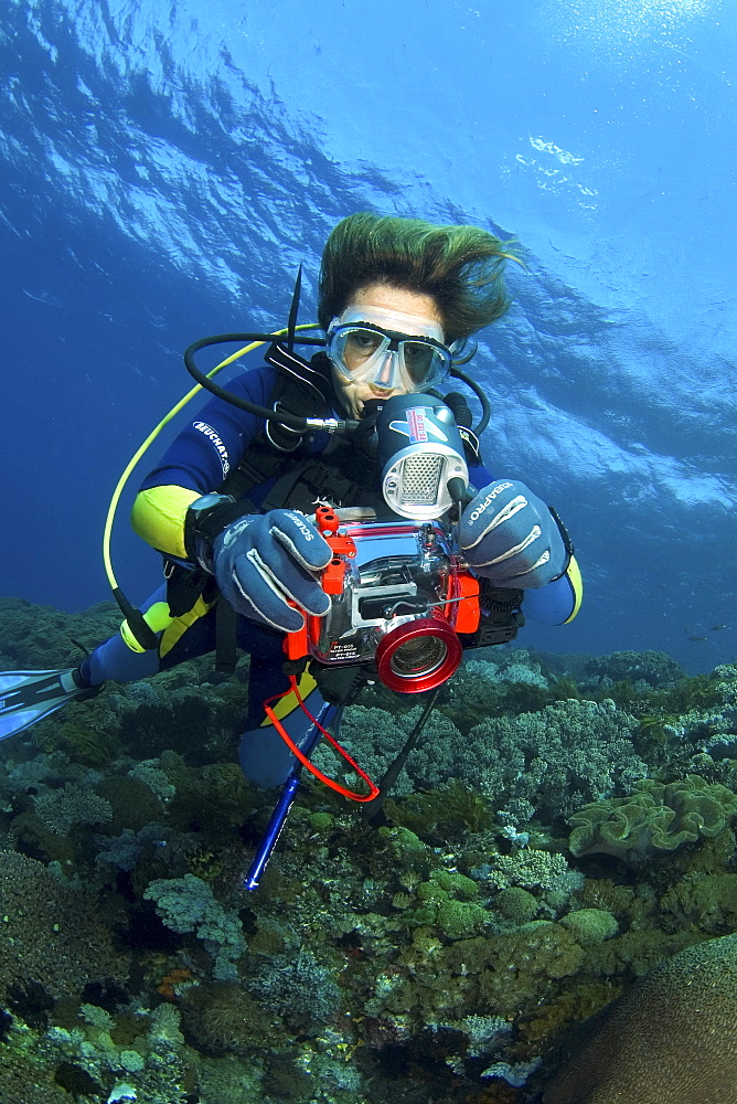 diver with compact camera, Indonesia