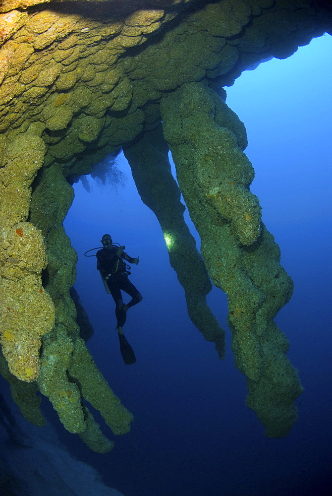 diver in Blue Hole stalactites formations. Belize