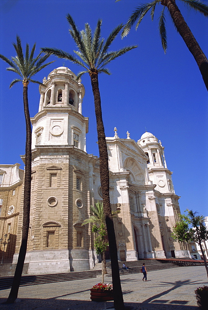 Cathedral, Cadiz, Andalucia, Spain, Europe