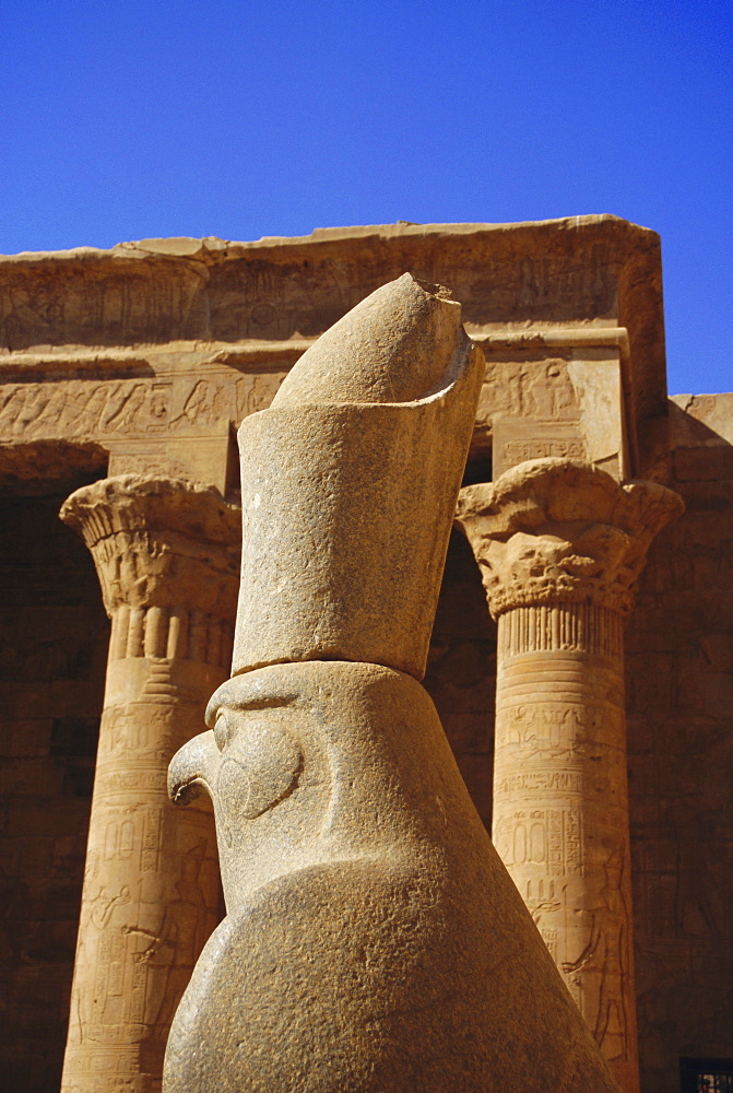 Falcon headed Horus statue, Temple of Horus, Edfu, Egypt, North Africa