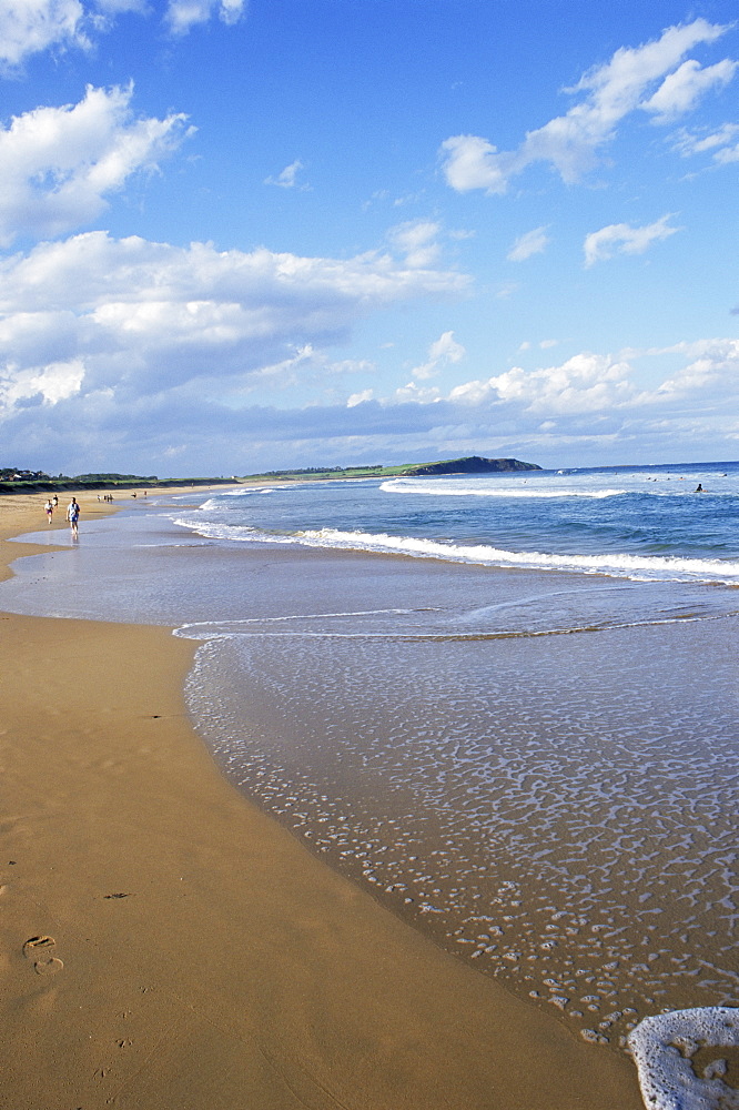 Dee Why beach, Sydney, New South Wales, Australia, Pacific