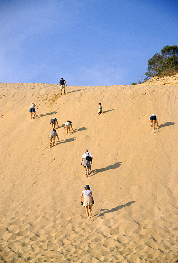 Climbing sand cliff, Great Sandy National Park, Fraser Island, UNESCO World Heritage Site, Queensland, Australia, Pacific