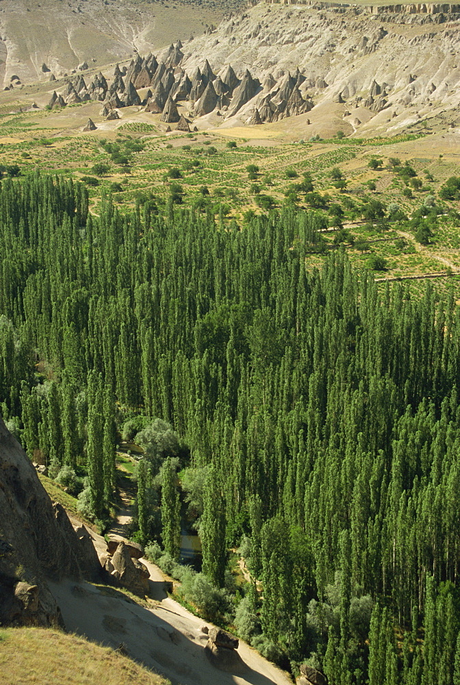 Star Wars landscape, Selime Ilhara Valley, Cappadocia, Anatolia, Turkey, Asia Minor, Eurasia