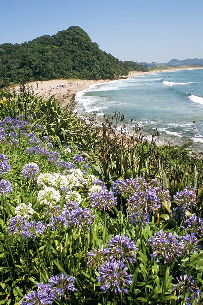 Hot Water Beach, Coromandel Peninsula, South Auckland, New Zealand, Pacific