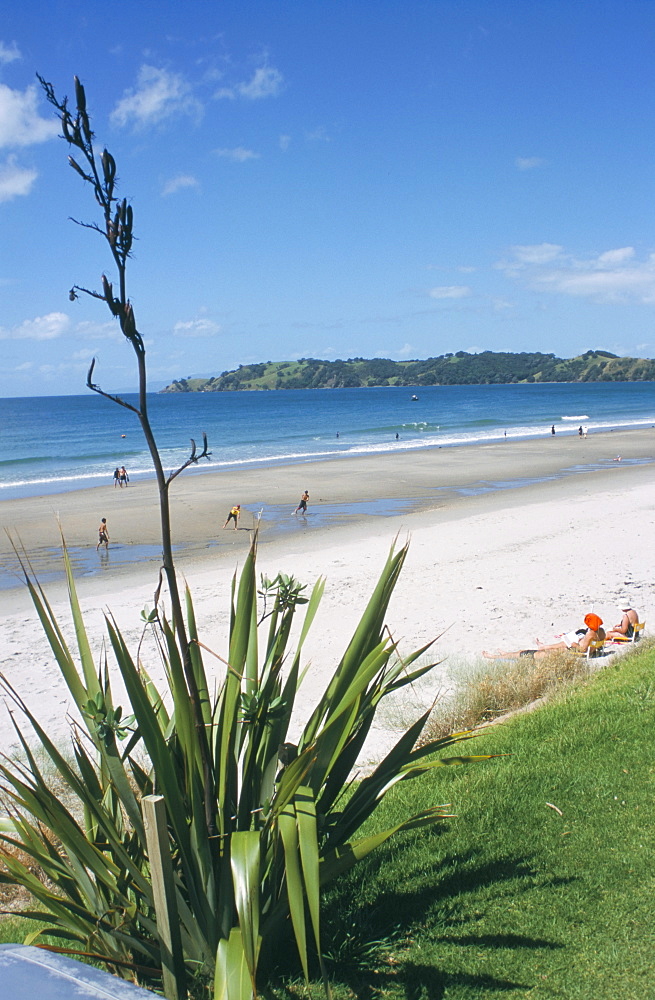 Onetangi Beach, Waiheke Island, Hauraki Gulf, North Island, New Zealand, Pacific