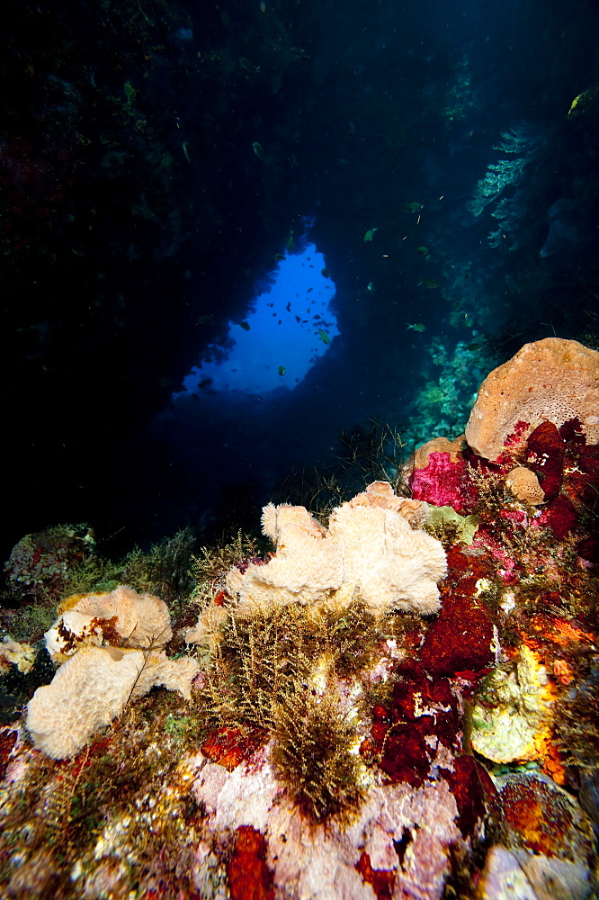 Swim through, Dominica, West Indies, Caribbean, Central America