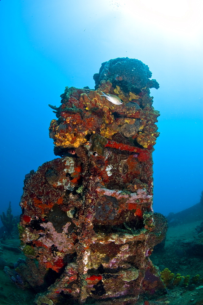 Ladder on the wreck of the Lesleen M freighter, sunk as an artificial reef in 1985 in Anse Cochon Bay, St. Lucia, West Indies, Caribbean, Central America