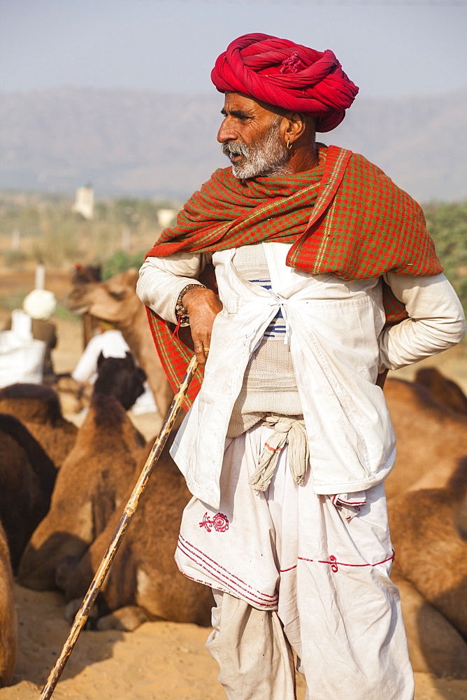 Pushkar Camel Fair, Pushkar, Rajasthan, India, Asia