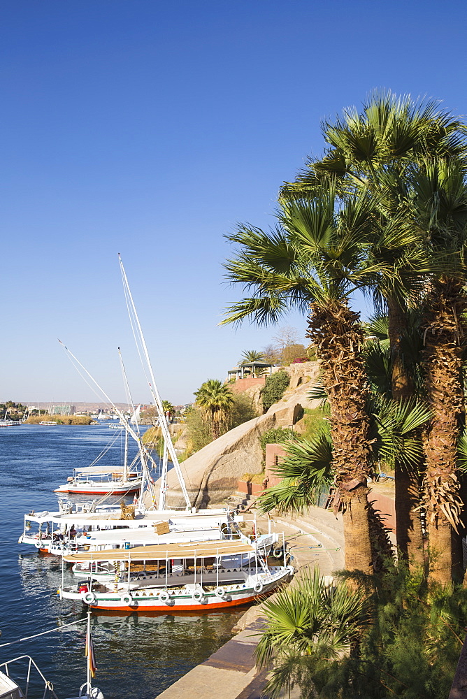 Gardens of Old Cataract Hotel, Aswan, Upper Egypt, Egypt, North Africa, Africa