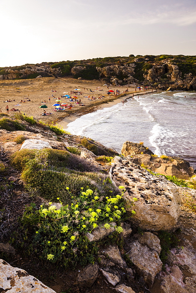 Calamosche Beach at sunset, near Noto, Vendicari Nature Reserve, South East Sicily, Italy, Mediterranean, Europe 