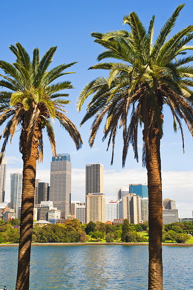 Sydney CBD and city centre from Sydney Botanic Gardens, Sydney, New South Wales, Australia, Pacific