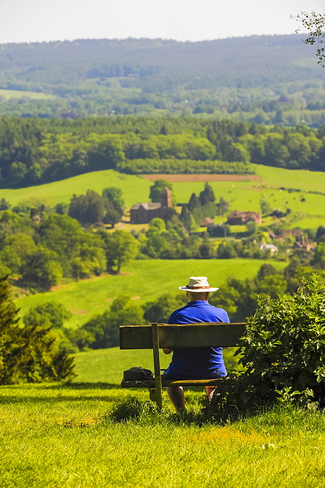 Box Hill, North Downs, Surrey Hills, Surrey, England, United Kingdom, Europe 