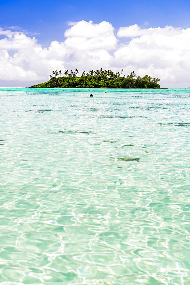 Tropical island of Motu Taakoka covered in palm trees in Muri Lagoon, Rarotonga, Cook Islands, South Pacific, Pacific