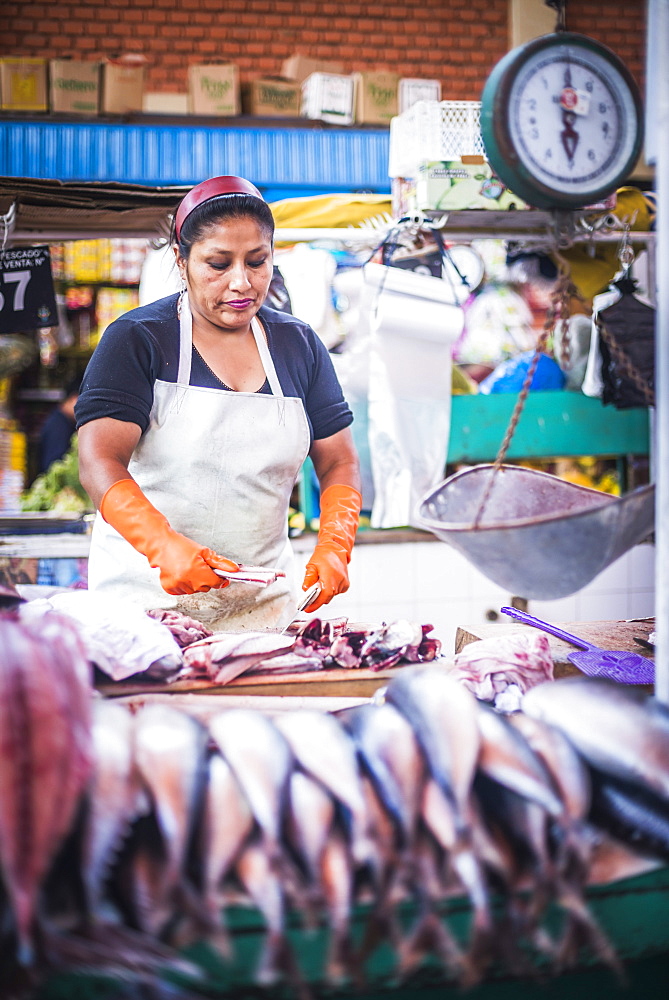 Fish stall, San Camilo Market (Mercado San Camilo), Arequipa, Peru, South America