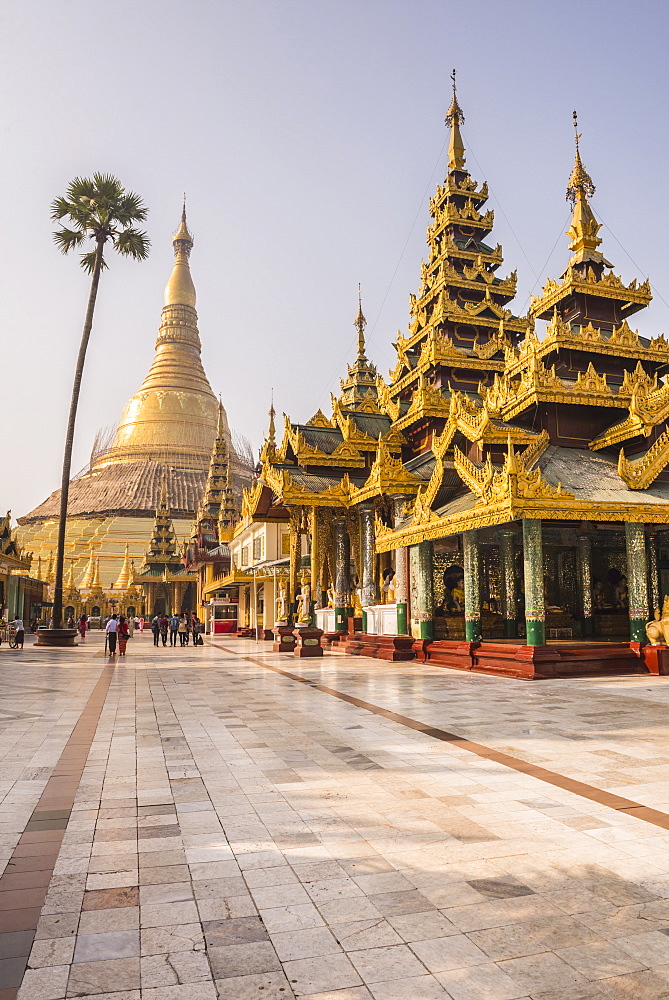 Shwedagon Pagoda (Shwedagon Zedi Daw) (Golden Pagoda), Yangon (Rangoon), Myanmar (Burma), Asia