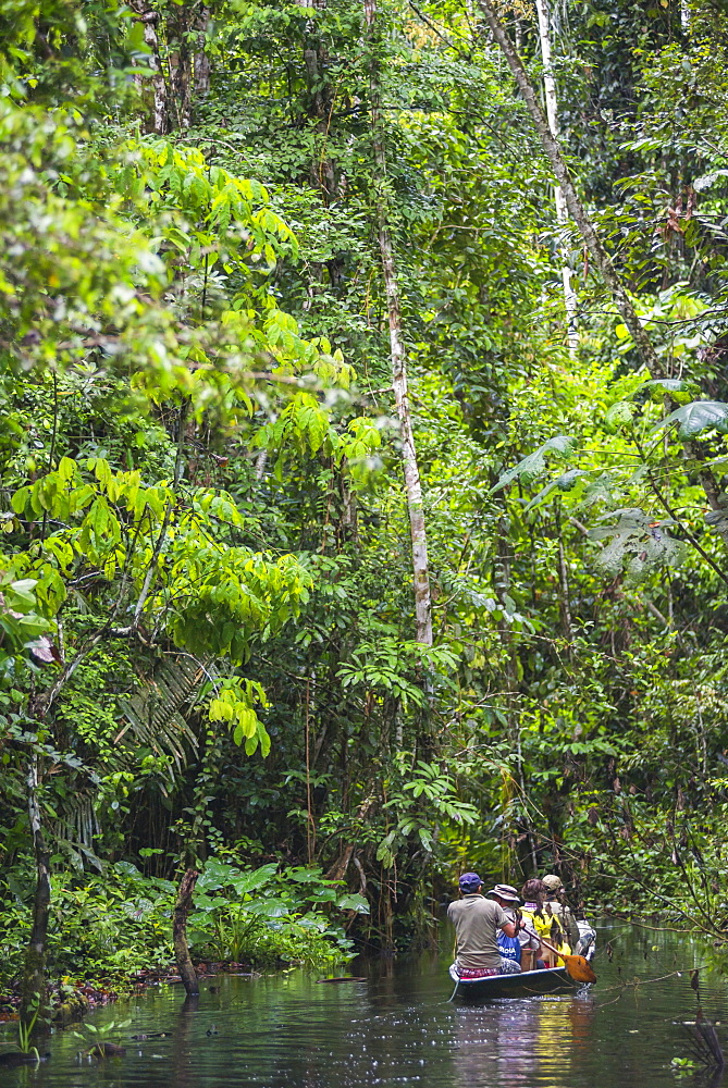 Dugout canoe boat ride in the Amazon Rainforest, Coca, Ecuador, South America