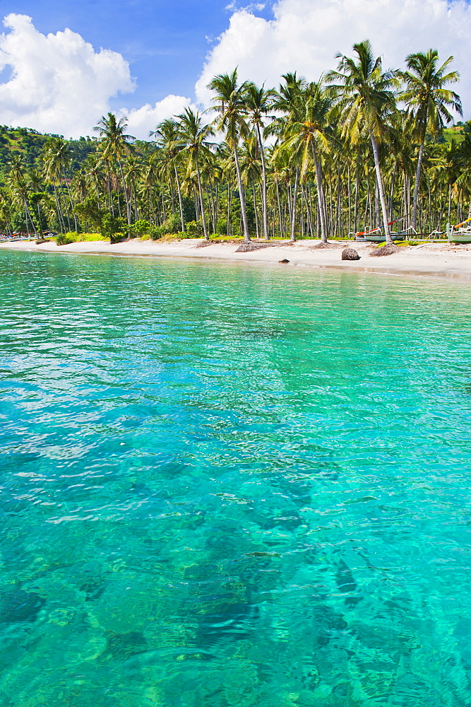 Palm trees and turquoise water, Nippah Beach, Lombok, West Nusa Tenggara, Indonesia, Southeast Asia, Asia