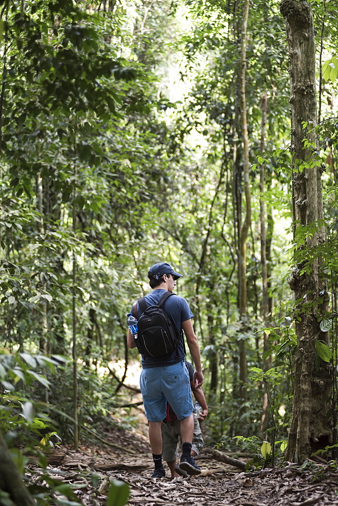 Tourist on a jungle trek in Gunung Leuser National Park, Bukit Lawang, North Sumatra, Indonesia, Southeast Asia, Asia