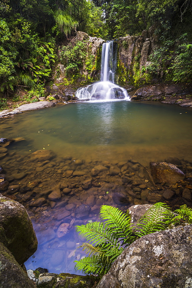 Waiau Falls, a waterfall on Road 309, Coromandel Peninsula, North Island, New Zealand, Pacific