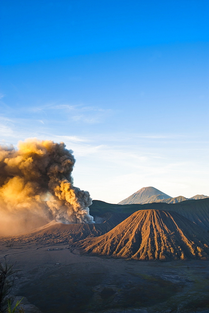 Mount Bromo volcano erupting at sunrise, sending volcanic ash high into the sky, East Java, Indonesia, Southeast Asia, Asia