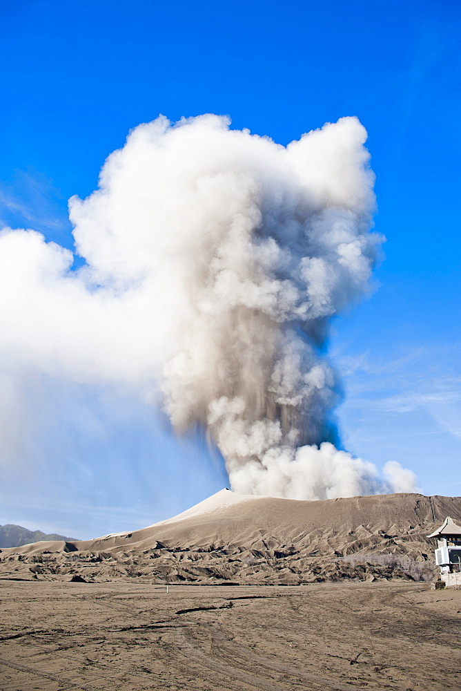 Mount Bromo volcanic eruption sending up an ash cloud, East Java, Indonesia, Southeast Asia, Asia