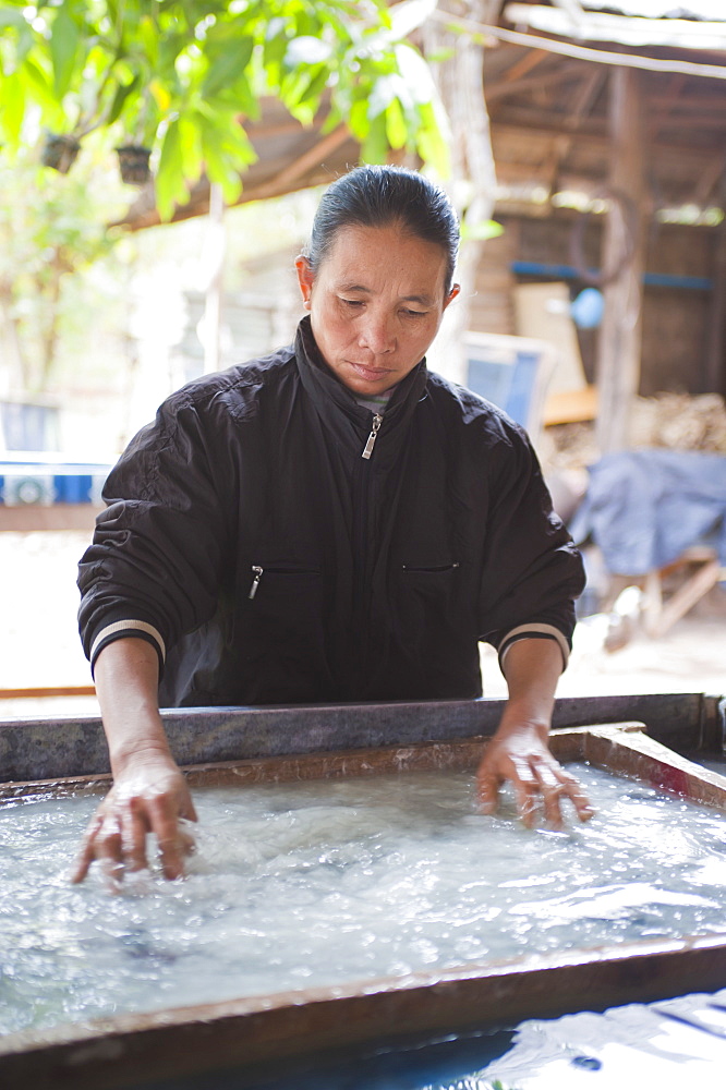 Woman making handmade paper in Luang Prabang, Laos, Indochina, Southeast Asia, Asia