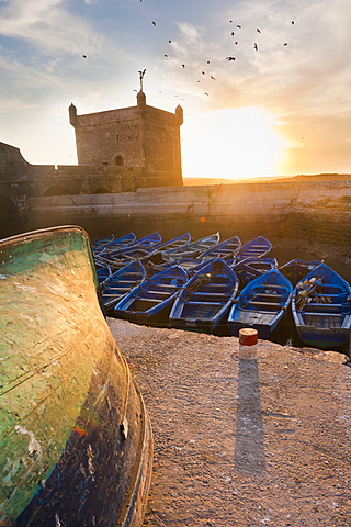 Blue fishing boats in Essaouira Port, formerly Mogador, Morocco, North Africa, Africa 