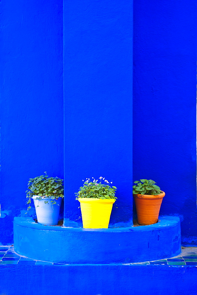 Potted plants and bright blue paintwork, Majorelle Gardens (Gardens of Yves Saint-Laurent), Marrakech, Morocco, North Africa, Africa 