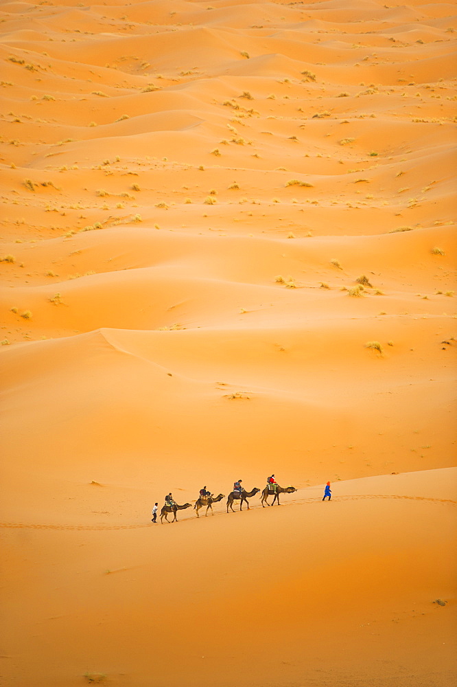 Tourists on a camel ride in Erg Chebbi Desert, Sahara Desert near Merzouga, Morocco, North Africa, Africa