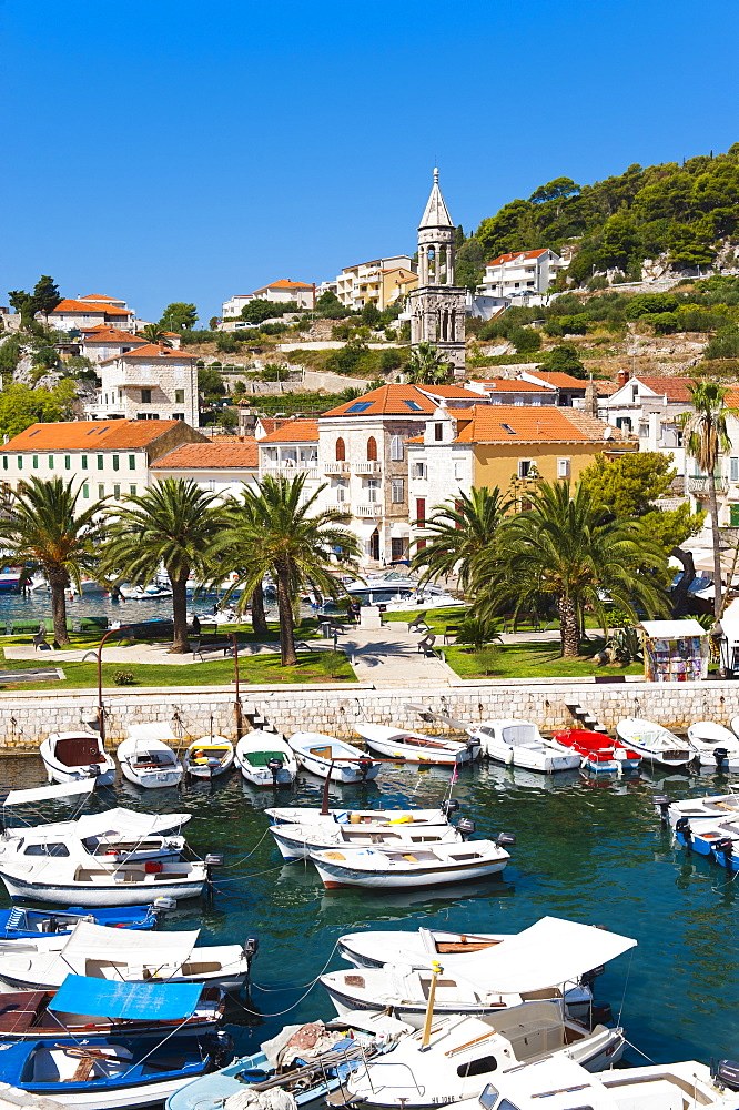 Hvar harbour and church bell tower in Hvar town centre, Hvar Island, Dalmatian Coast, Adriatic, Croatia, Europe 