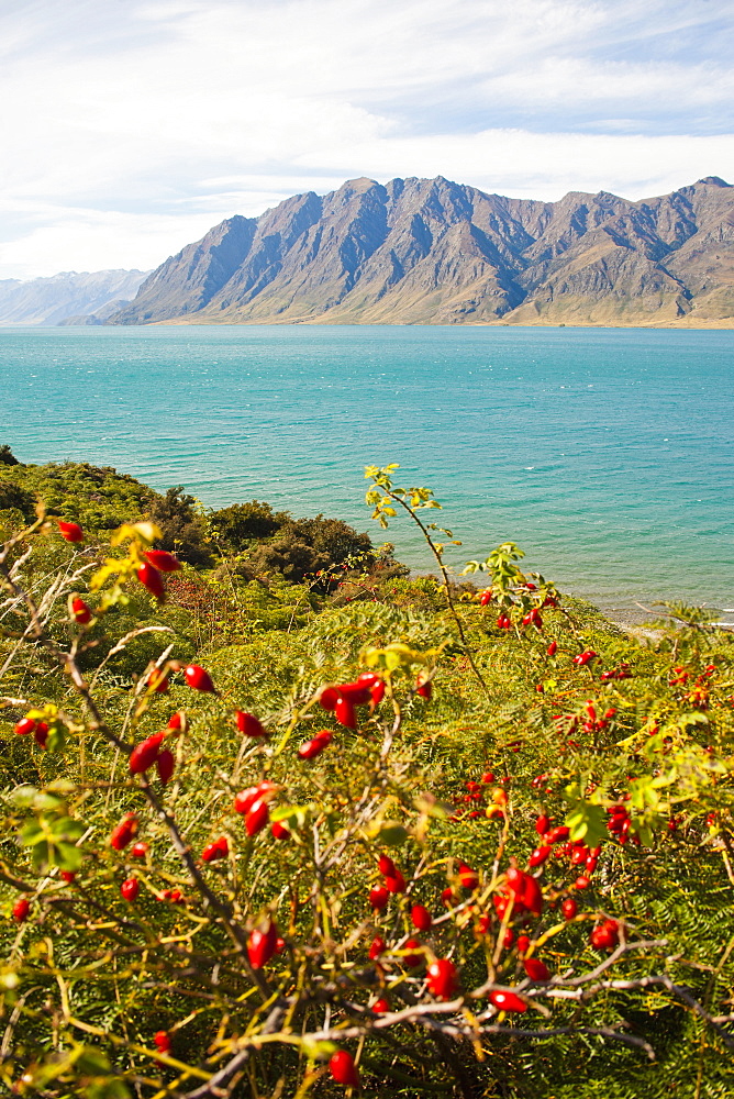 Lake Hawea, Southern Alps Mountain Range, West Coast, South Island, New Zealand, Pacific 