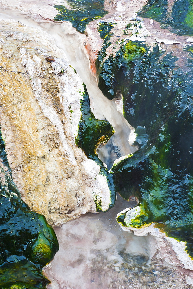 Hot stream detail at Orakei Korako Thermal Park, The Hidden Valley, North Island, New Zealand, Pacific 