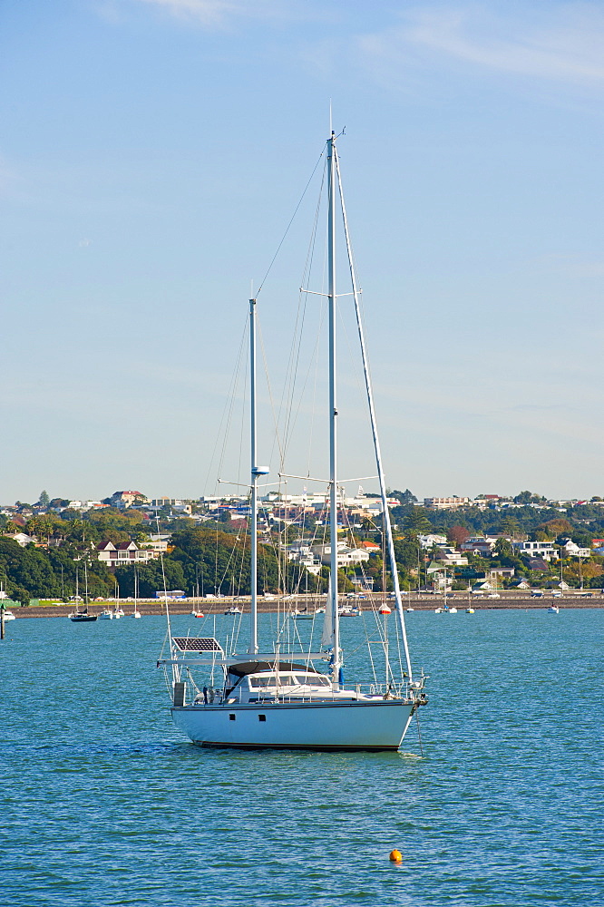 Sailing boat in Waitemata Harbour, Auckland, North Island, New Zealand, Pacific 