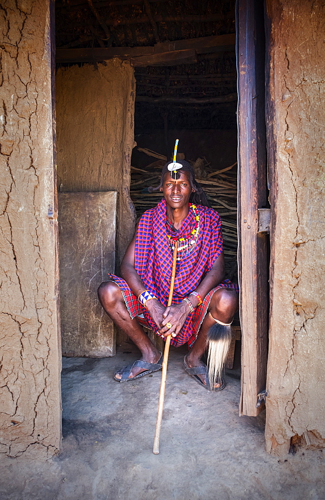 Portrait of a single Masai Mara man wearing traditional jewelry, headpiece and clothes, Masai Mara National Reserve, Kenya, East Africa, Africa